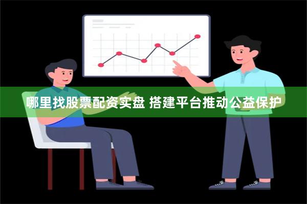 哪里找股票配资实盘 搭建平台推动公益保护