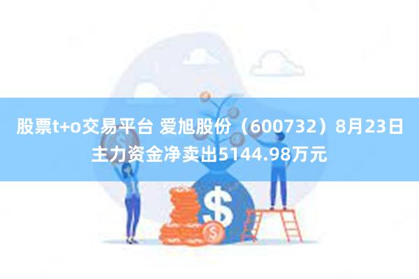 股票t+o交易平台 爱旭股份（600732）8月23日主力资金净卖出5144.98万元