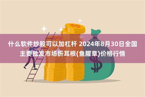 什么软件炒股可以加杠杆 2024年8月30日全国主要批发市场折耳根(鱼腥草)价格行情