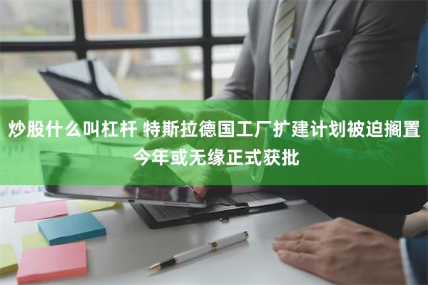 炒股什么叫杠杆 特斯拉德国工厂扩建计划被迫搁置 今年或无缘正式获批