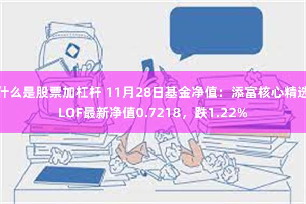 什么是股票加杠杆 11月28日基金净值：添富核心精选LOF最新净值0.7218，跌1.22%