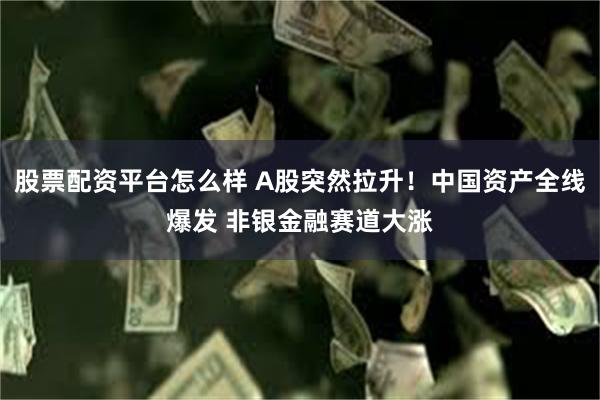 股票配资平台怎么样 A股突然拉升！中国资产全线爆发 非银金融赛道大涨