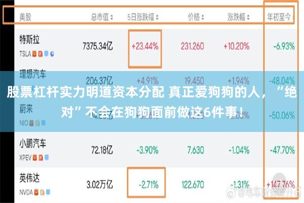 股票杠杆实力明道资本分配 真正爱狗狗的人，“绝对”不会在狗狗面前做这6件事！