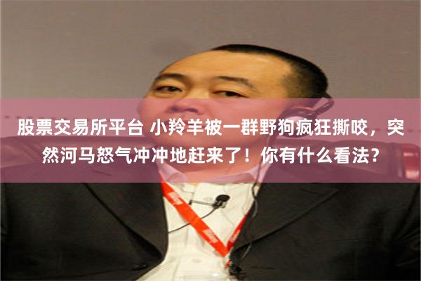 股票交易所平台 小羚羊被一群野狗疯狂撕咬，突然河马怒气冲冲地赶来了！你有什么看法？