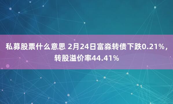 私募股票什么意思 2月24日富淼转债下跌0.21%，转股溢价率44.41%