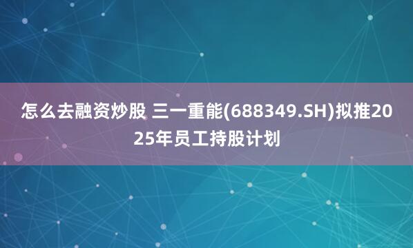 怎么去融资炒股 三一重能(688349.SH)拟推2025年员工持股计划