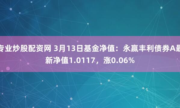 专业炒股配资网 3月13日基金净值：永赢丰利债券A最新净值1.0117，涨0.06%