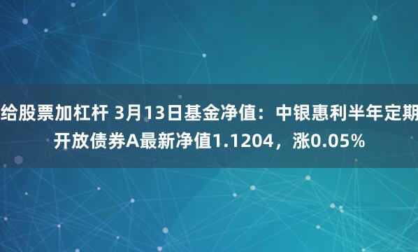 给股票加杠杆 3月13日基金净值：中银惠利半年定期开放债券A最新净值1.1204，涨0.05%