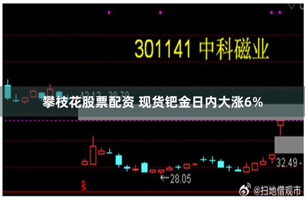 攀枝花股票配资 现货钯金日内大涨6%